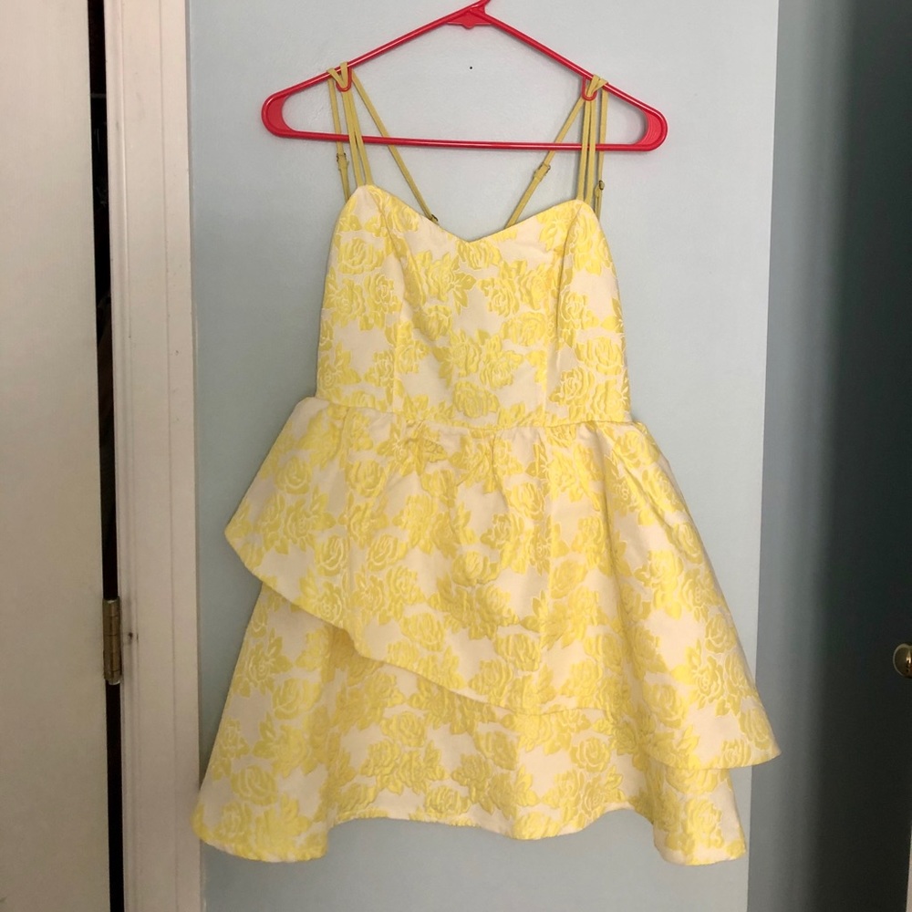 Luxe Apothetique jacquard fit and flare dress